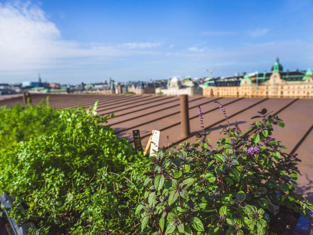 Radisson Collection, Strand Hotel, Stockholm Exterior photo Rooftop garden